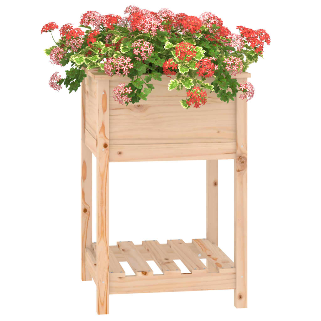 Sadilica s policom 54x54x81 cm od masivne borovine