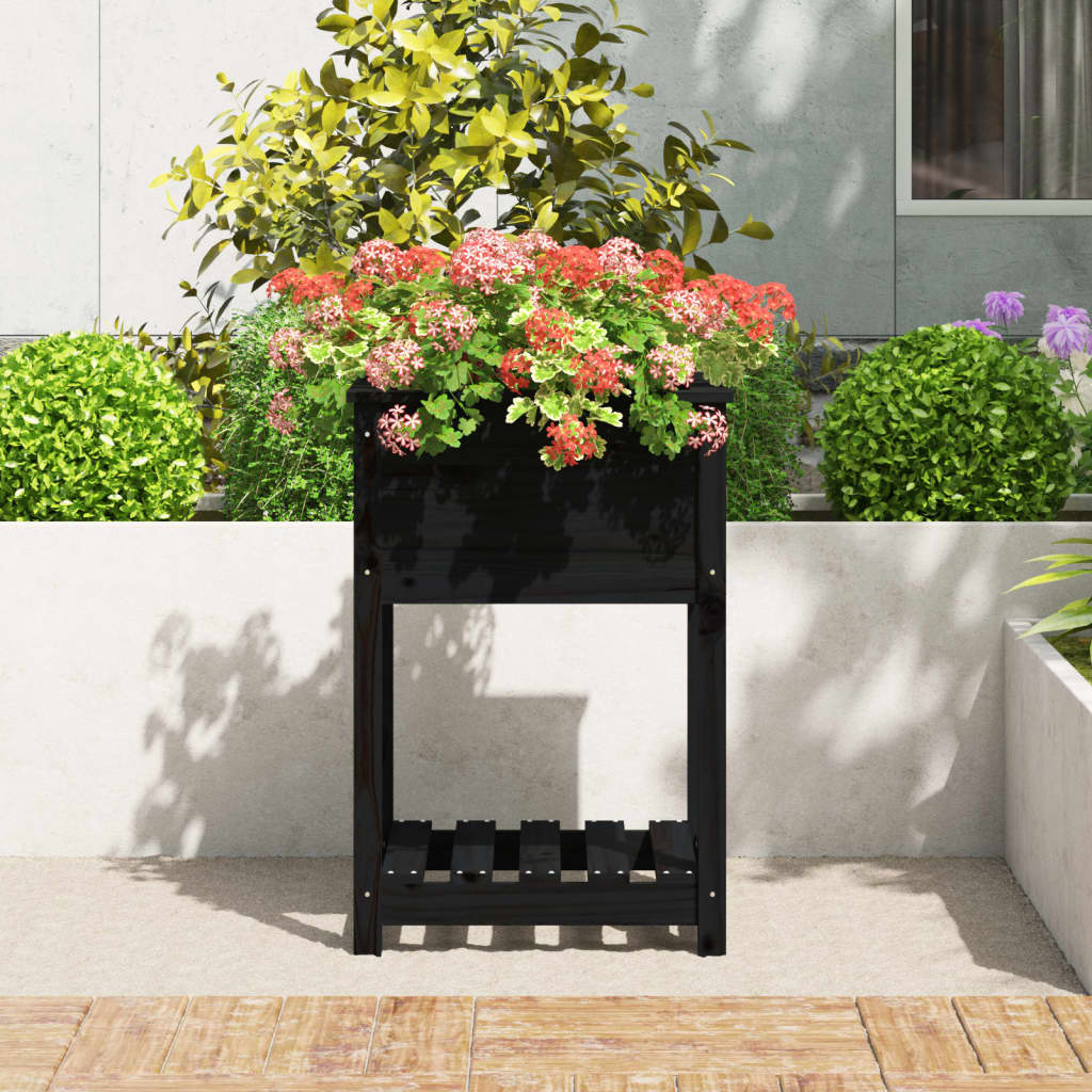 Sadilica s policom crna 54x54x81 cm od masivne borovine