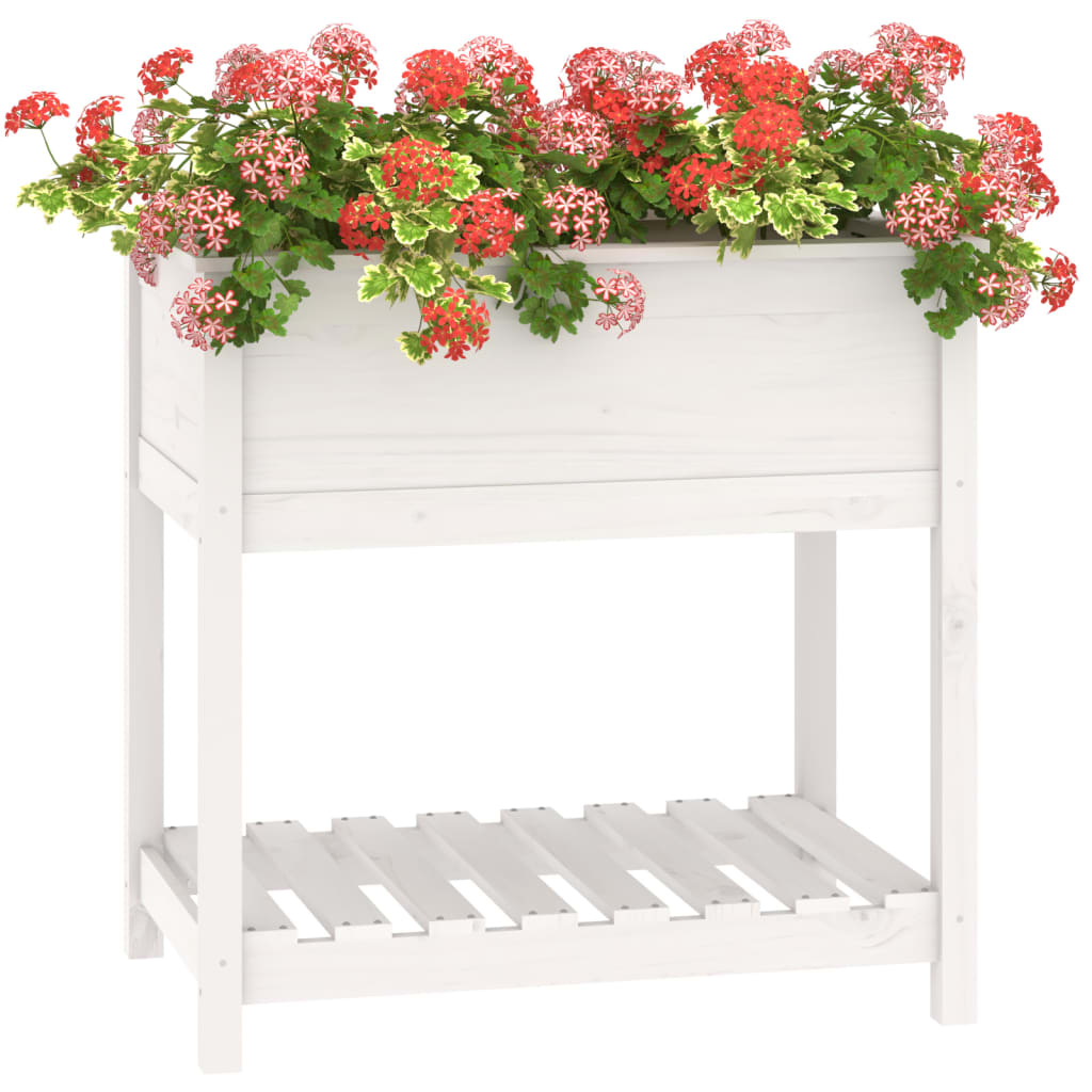 Sadilica s policom bijela 82,5x54x81 cm od masivne borovine