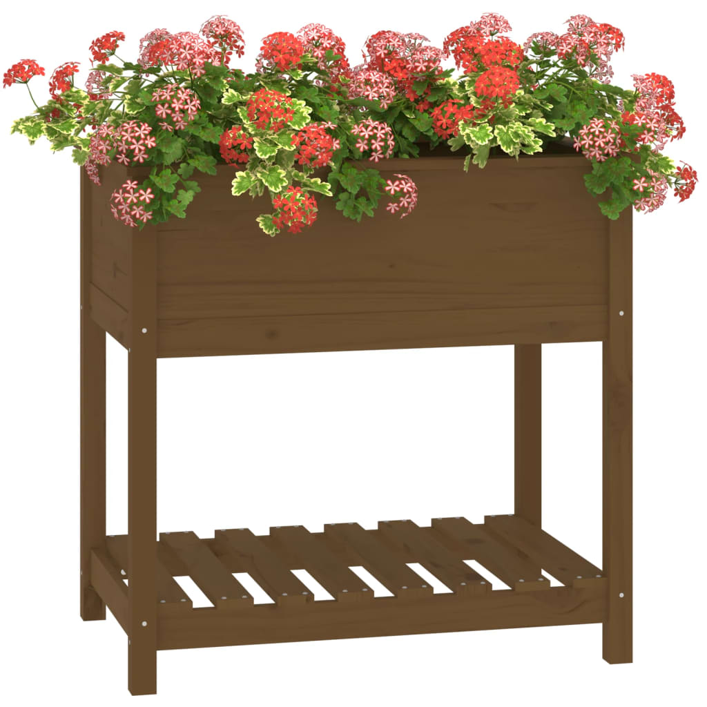 Sadilica s policom boja meda 82,5x54x81 cm od masivne borovine