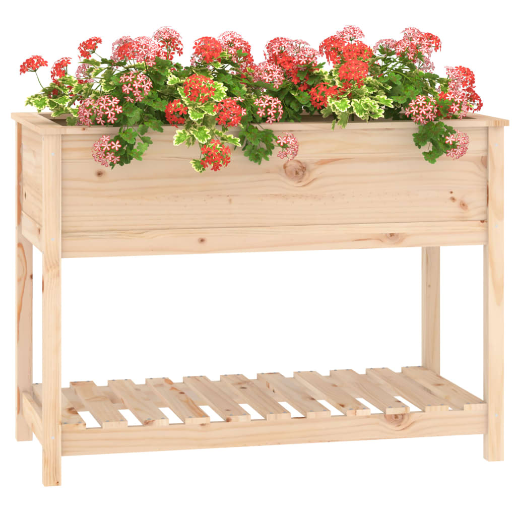 Sadilica s policom 111,5x54x81 cm od masivne borovine