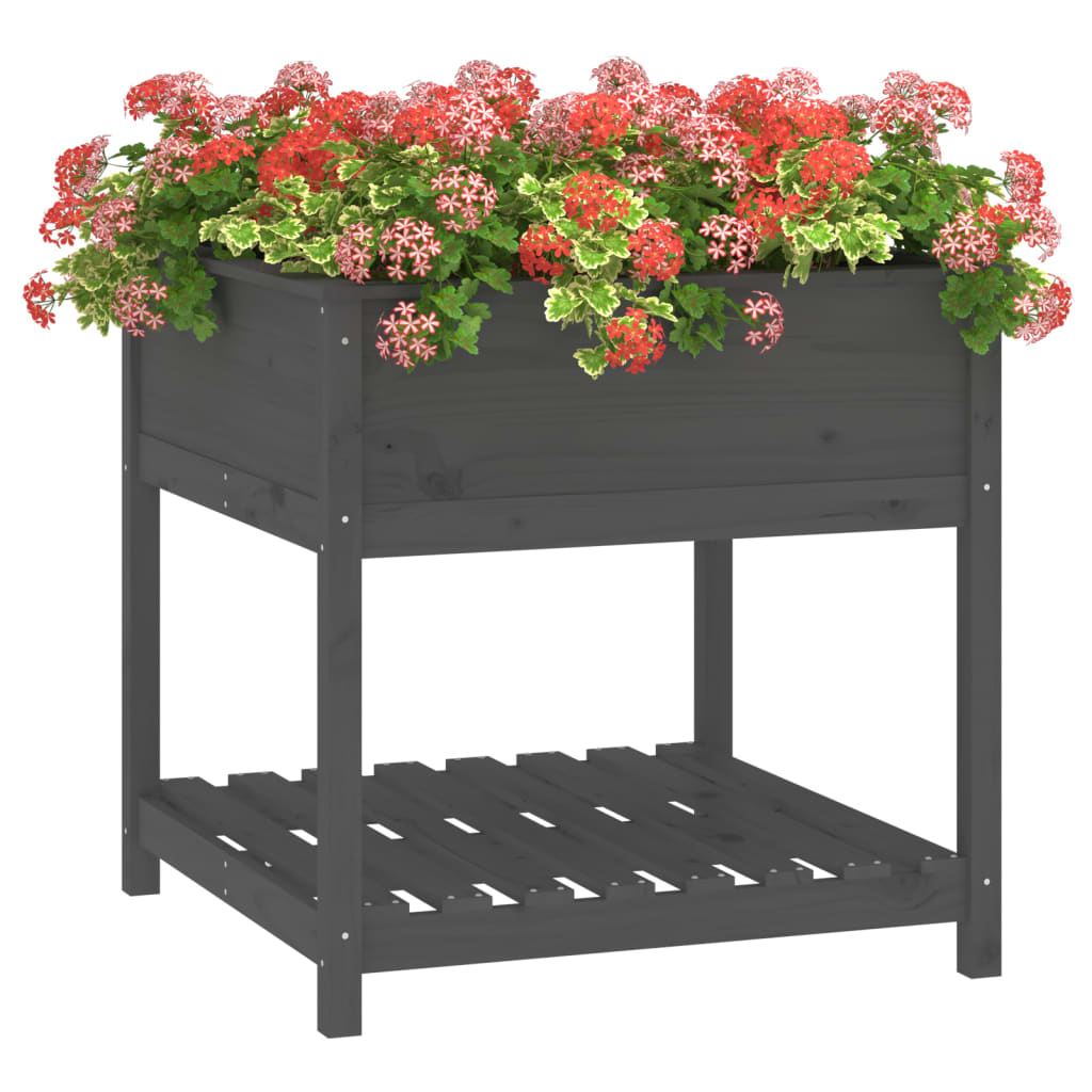 Sadilica s policom siva 82,5x82,5x81 cm od masivne borovine