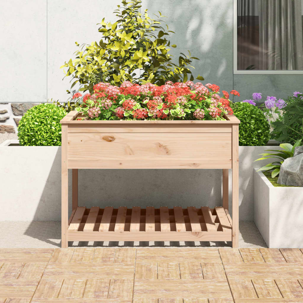 Sadilica s policom 111,5x111,5x81 cm od masivne borovine