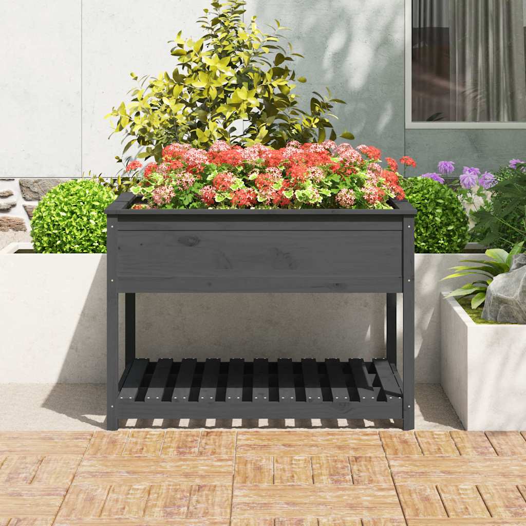 Sadilica s policom siva 111,5x111,5x81 cm od masivne borovine
