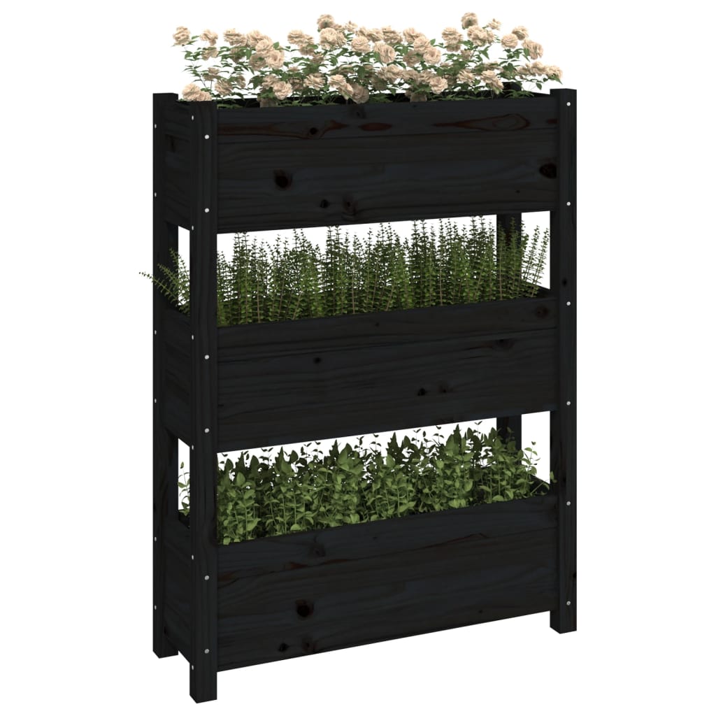 Sadilica crna 77 x 25 x 104,5 cm od masivne borovine