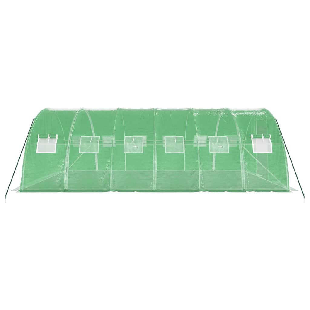 Staklenik s čeličnim okvirom zeleni 24 m² 6 x 4 x 2 m