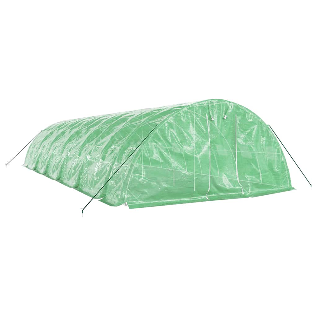 Staklenik s čeličnim okvirom zeleni 60 m² 12 x 5 x 2,3 m