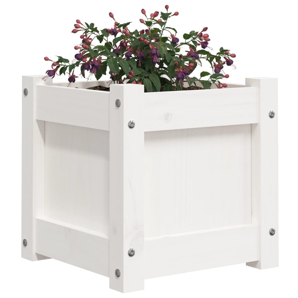 Vrtna sadilica bijela 31 x 31 x 31 cm od masivne borovine