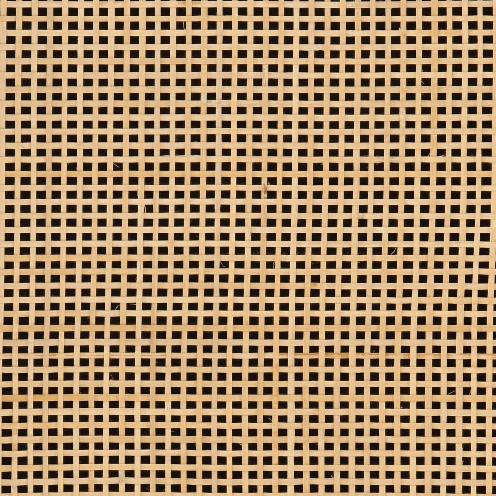 Noćni ormarić 40 x 30 x 50 cm od masivnog drva manga i željeza