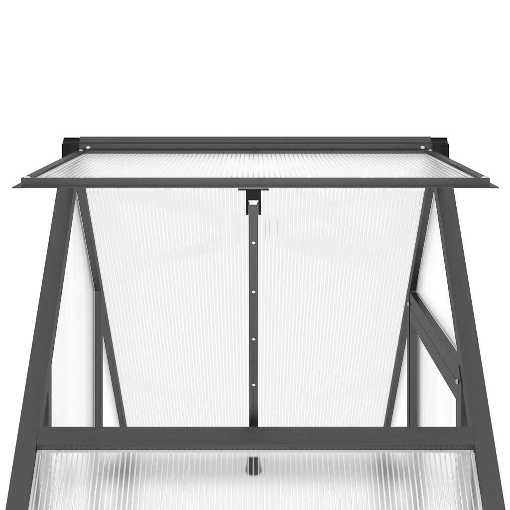 Staklenik s okvirom antracit 169 x 58 x 195 cm aluminijski