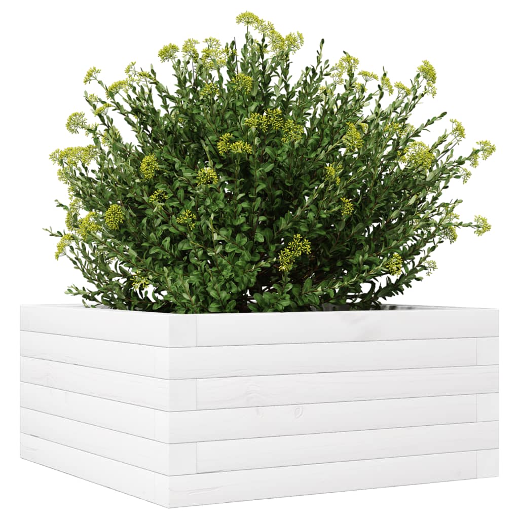 Vrtna sadilica bijela 50 x 50 x 23 cm od masivne borovine