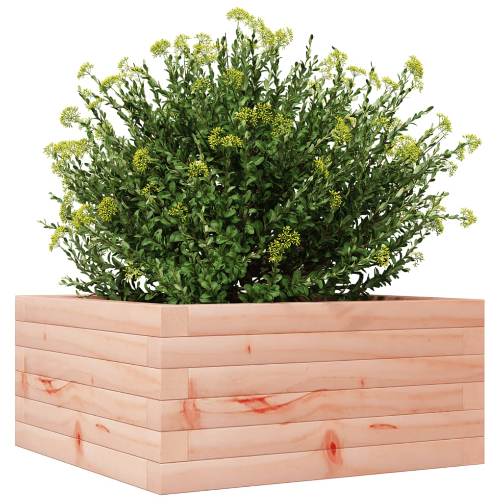 Vrtna sadilica 50 x 50 x 23 cm od masivnog drva duglazije