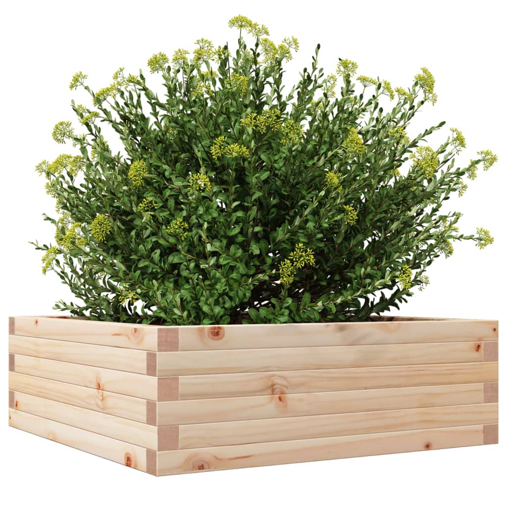 Vrtna sadilica 70x70x23 cm od masivne borovine