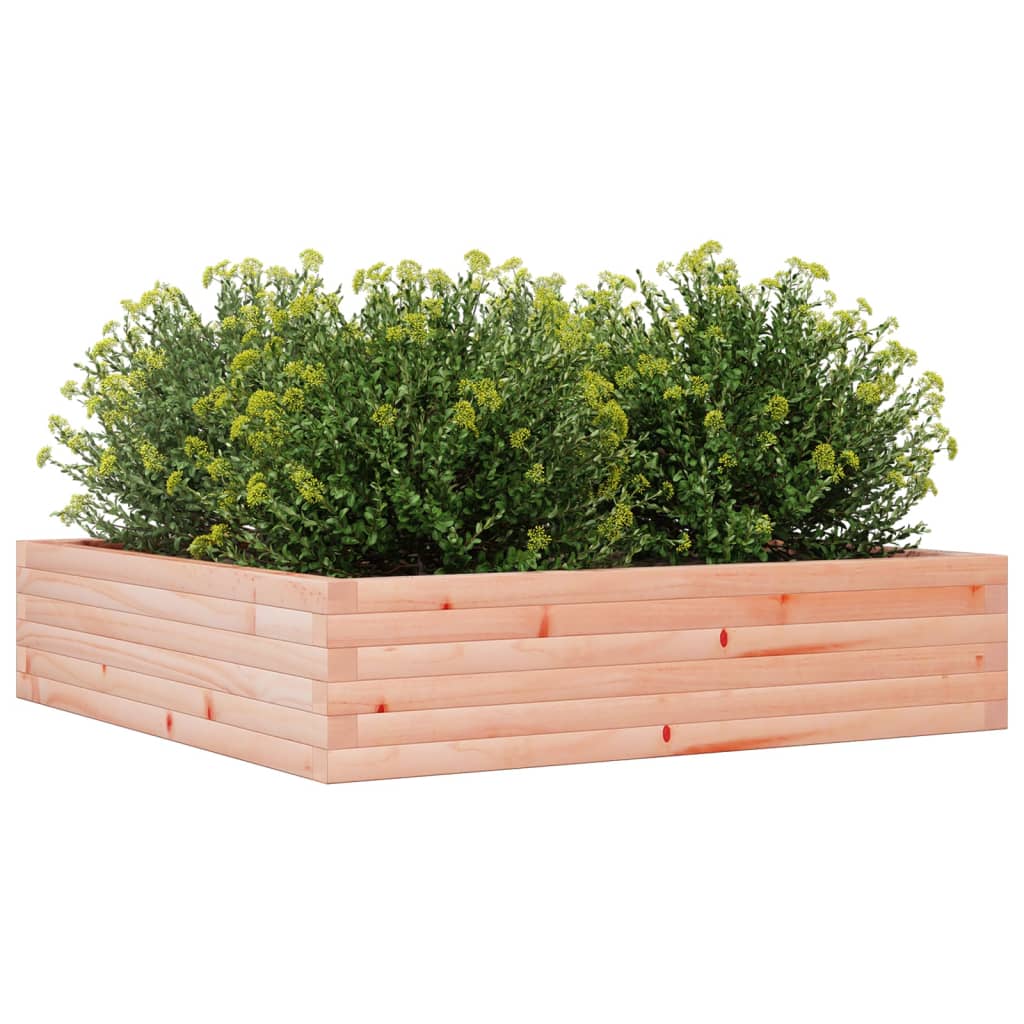 Vrtna sadilica 100x100x23 cm od masivnog drva duglazije