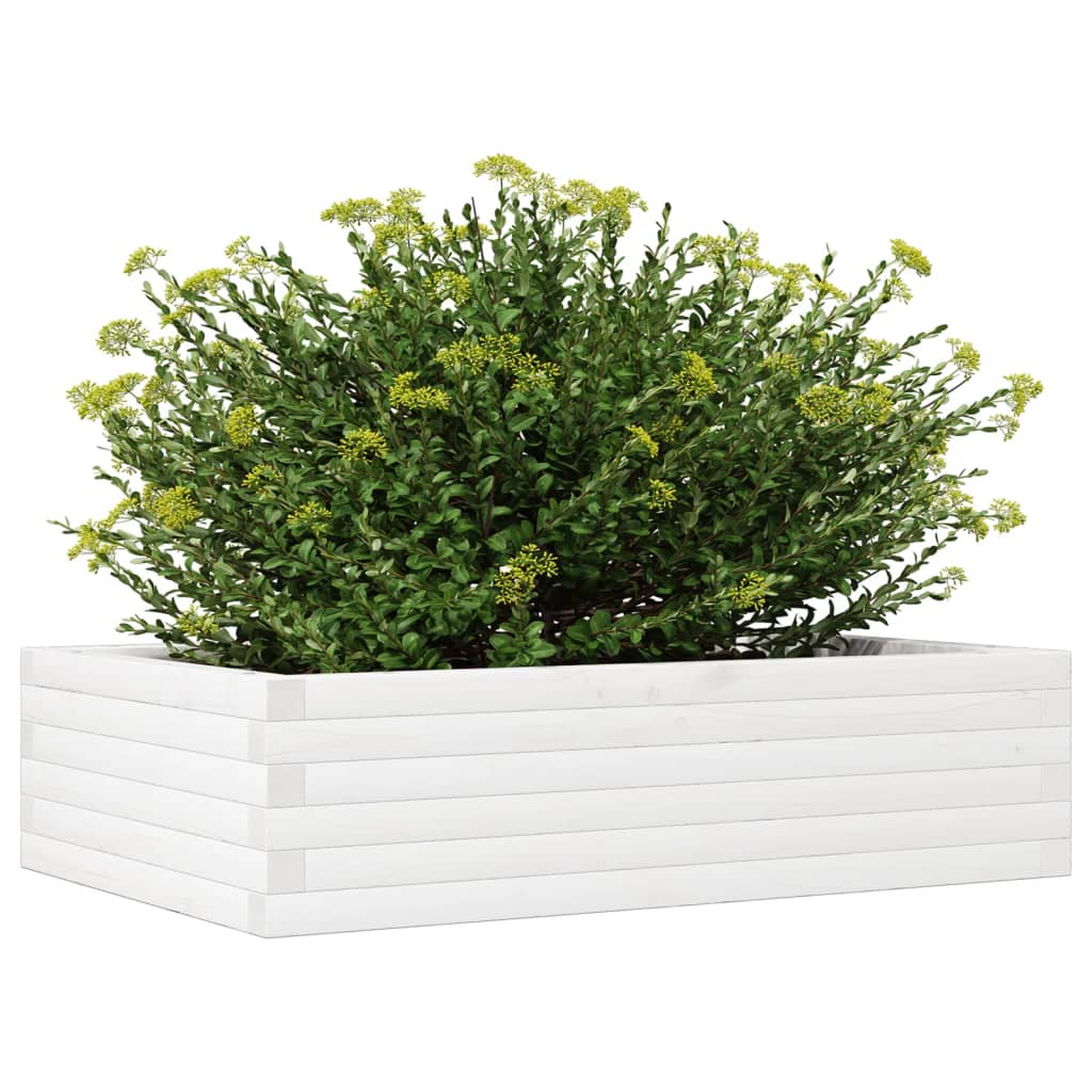 Vrtna sadilica bijela 90 x 60 x 23 cm od masivne borovine