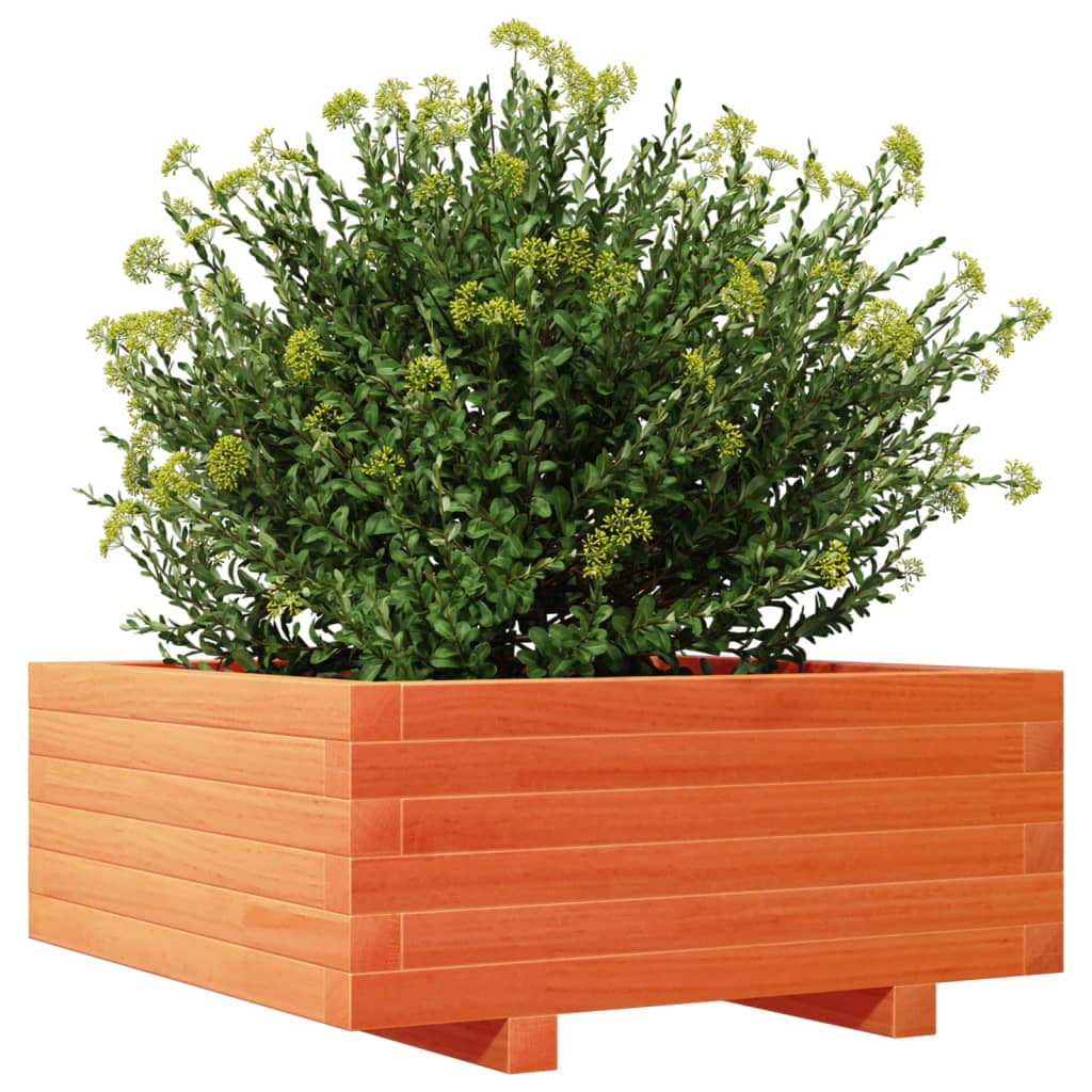 Vrtna sadilica voštano smeđe boje 60x60x26,5 cm od borovine