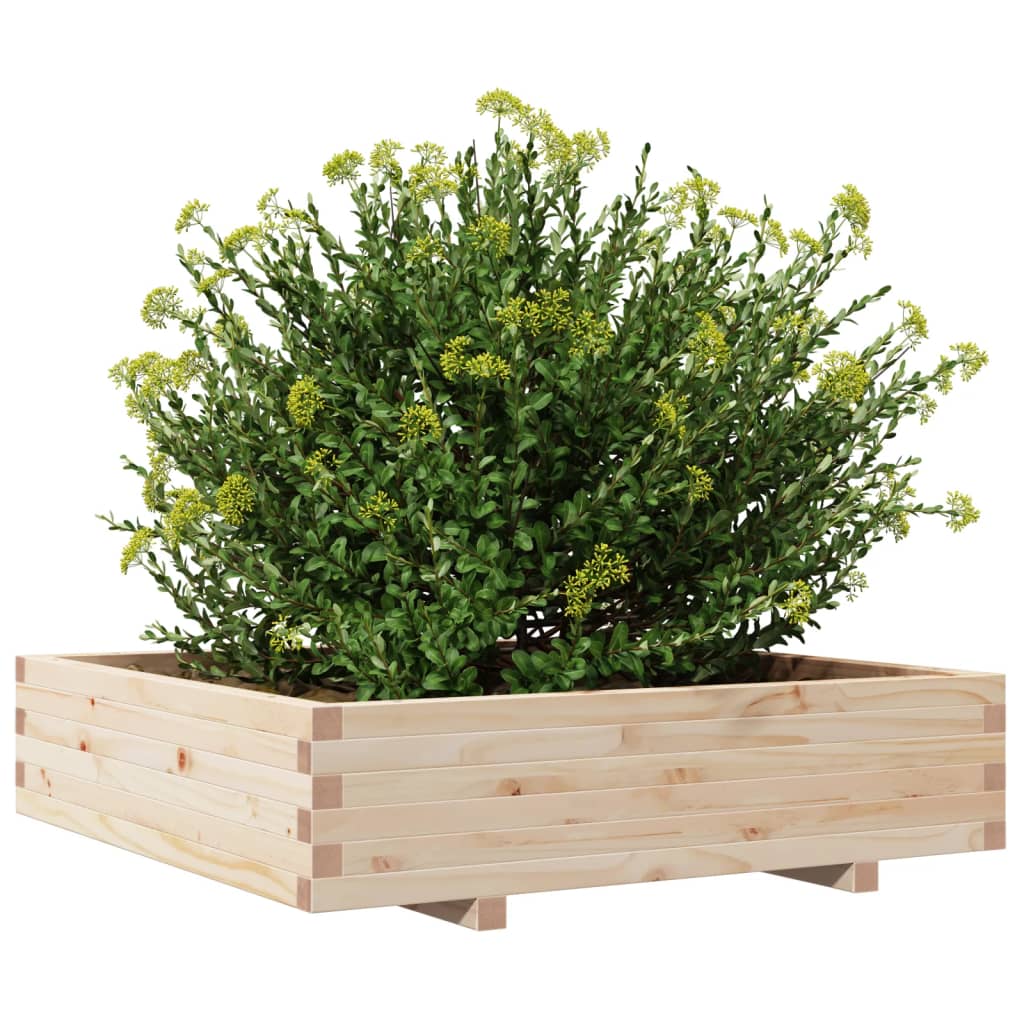 Vrtna sadilica 100x100x26,5 cm od masivne borovine