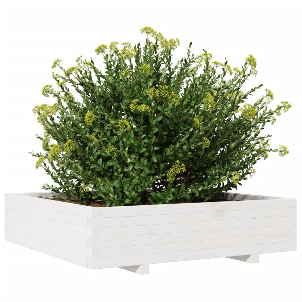 Vrtna sadilica bijela 100x100x26,5 cm od masivne borovine