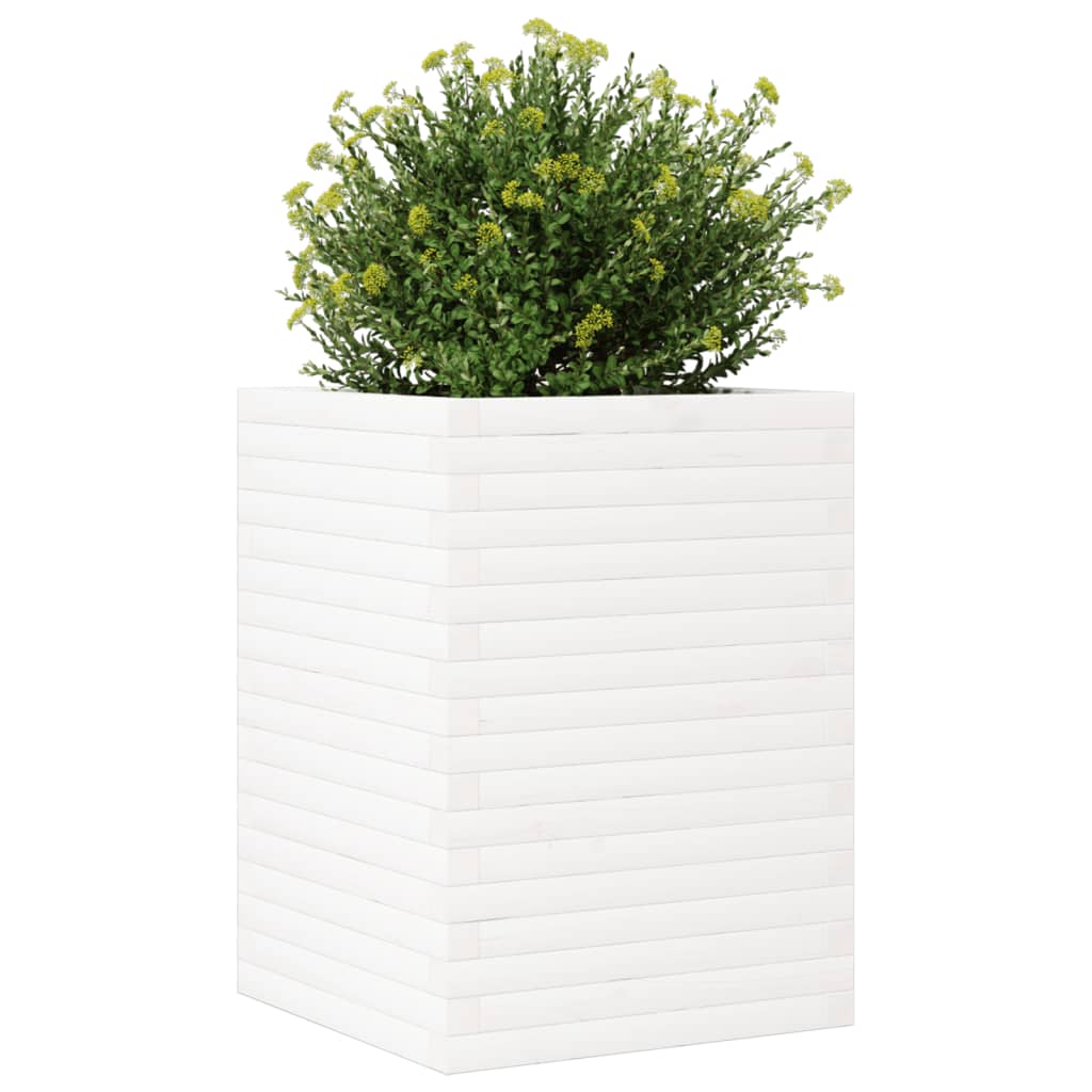 Vrtna sadilica bijela 50 x 50 x 68,5 cm od masivne borovine