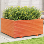 Vrtna sadilica voštano smeđe boje 100x100x49,5 cm od borovine