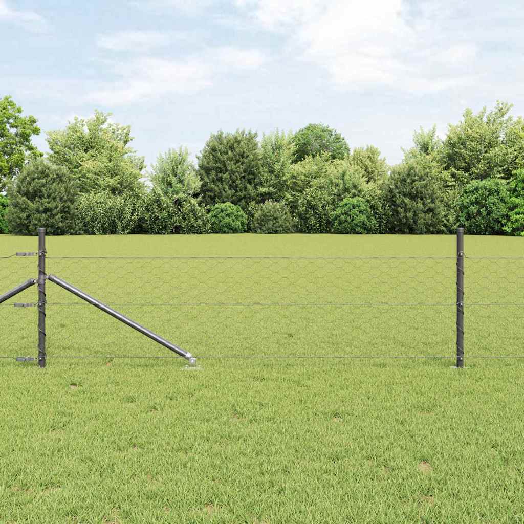 Zavareno žičano ograđivanje s bodljama 50 x 0,8 m (Š x V)