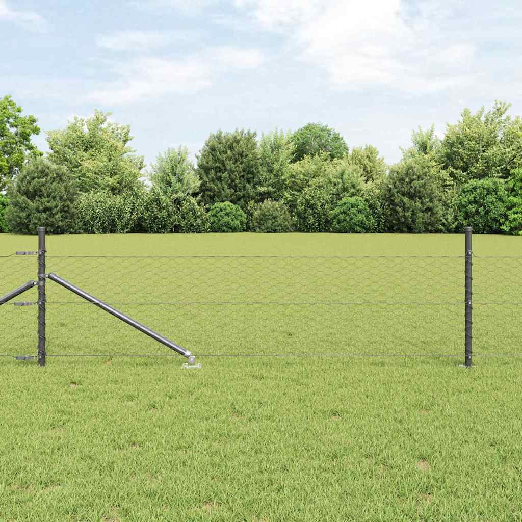 Zavareno žičano ograđivanje s bodljama 100 x 0,8 m (Š x V)