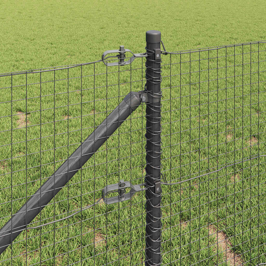 Zavareno žičano ograđivanje s bodljama 50 x 0,5 m (Š x V)