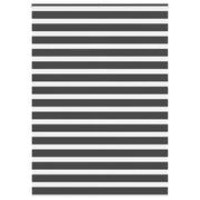 Zebra zavjesa Crna 155x230 cm Širina tkanine 150,9 cm Poliester