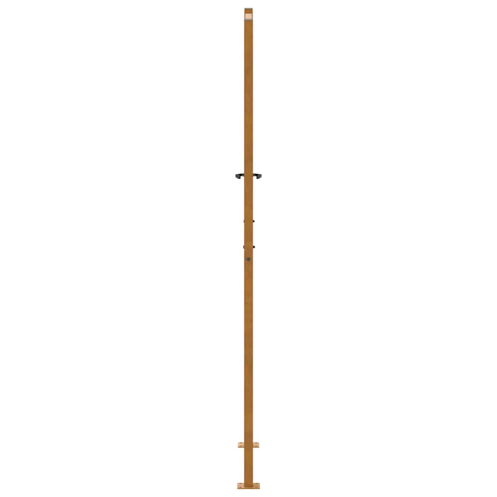 Vrtna vrata 100x200 cm, dizajn s čeličnim krilom otpornim na vremenske uvjete