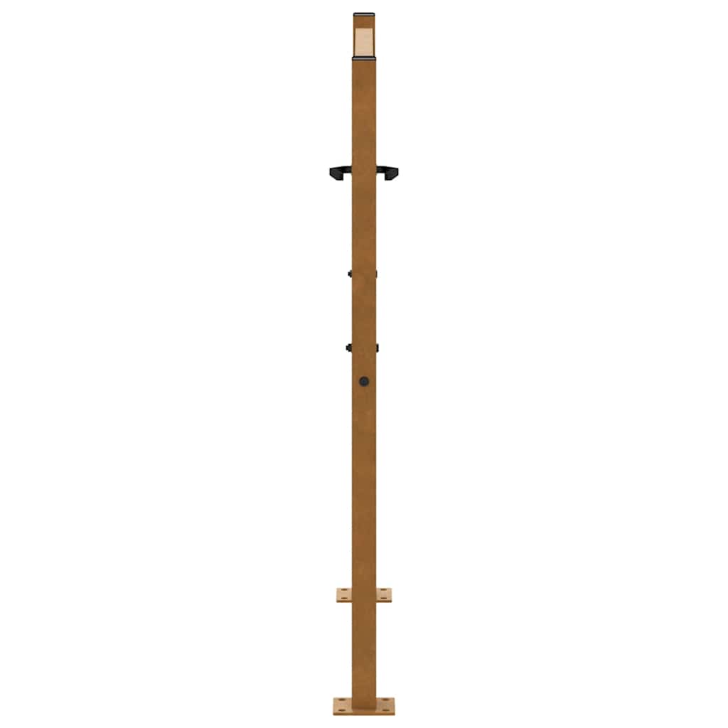 Vrtna vrata 100x100 cm Otporni čelik Dizajn plamena