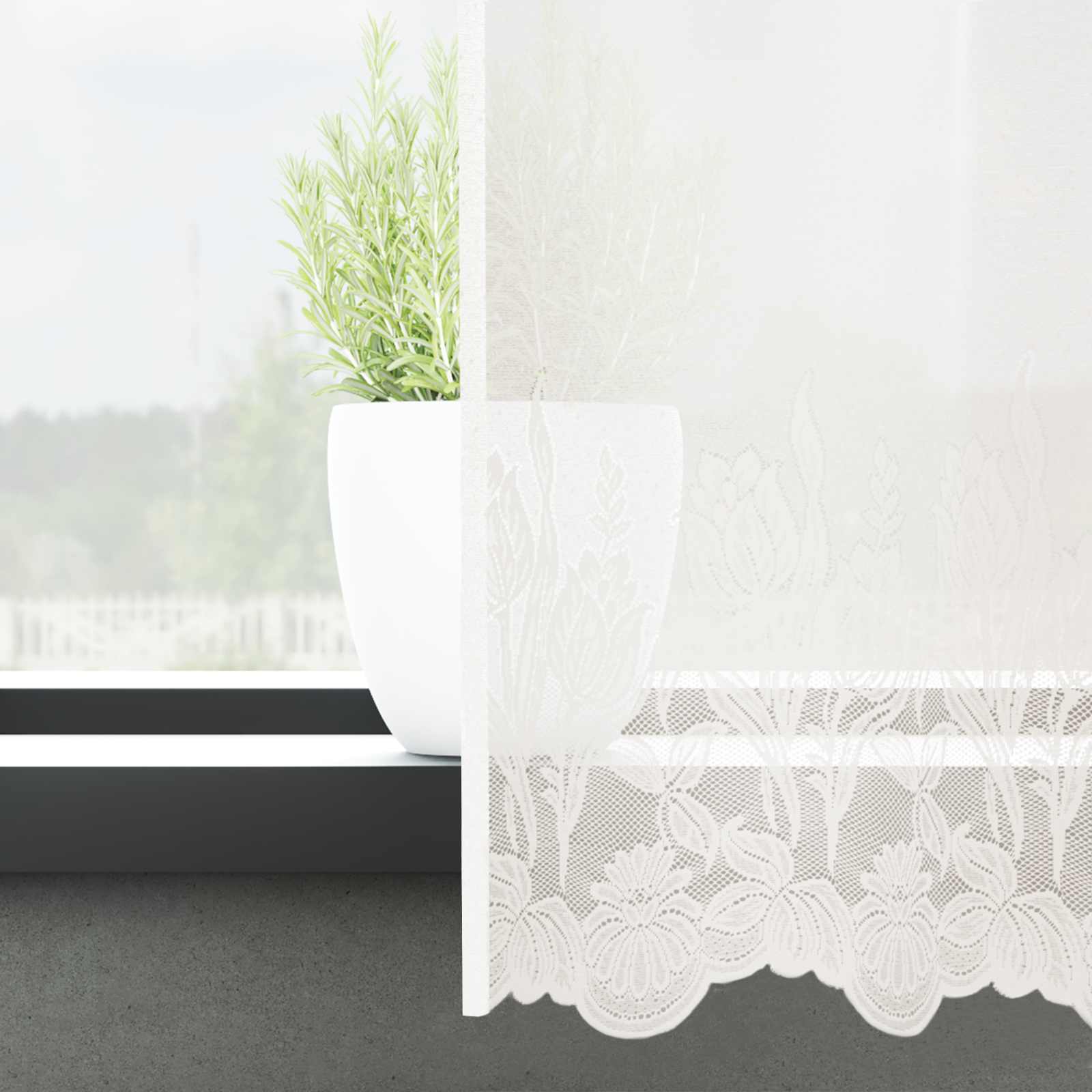 Čipkasta zavjesa sa zavjesama Bijelo 80 x 500 cm Poliester