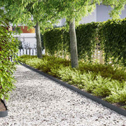 Ograda oko Travnjaka 20 pcs Antracit 100 x 0,05 x 15 cm