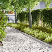 Ograda oko Travnjaka 30 pcs Srebrno 100 x 0,05 x 15 cm