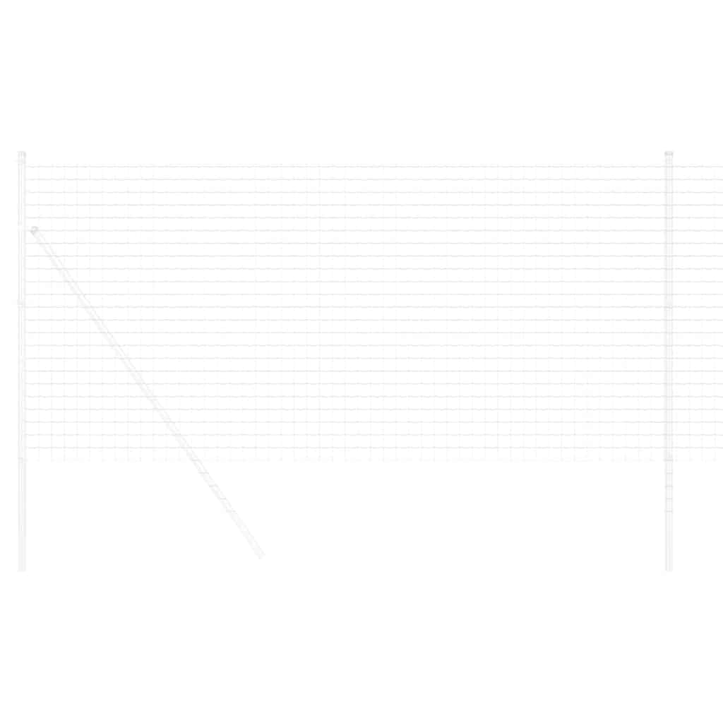 Euro ograda 1 x 10 m Željezo prekriveno PVC-om