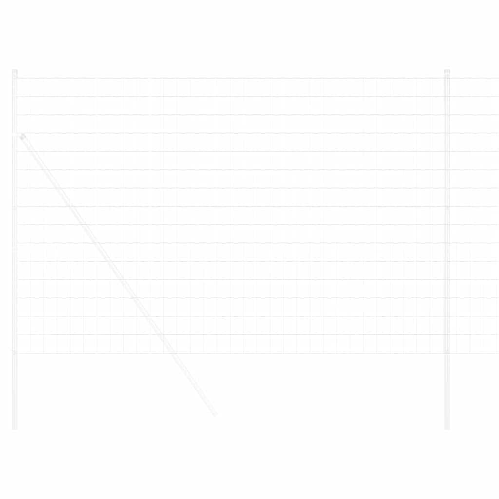 Euro ograda 1,6 x 10 m Željezo prekriveno PVC-om