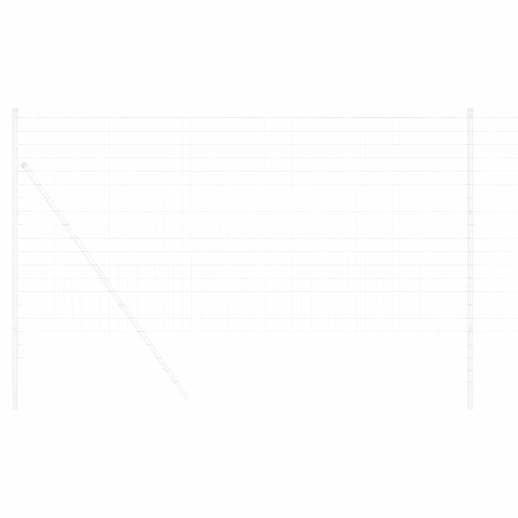 Euro ograda 1 x 25 m Željezo prekriveno PVC-om