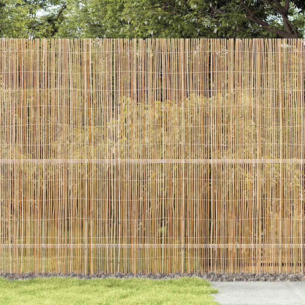 Bambusova ograda Prirodna 300 x 180 cm bambus