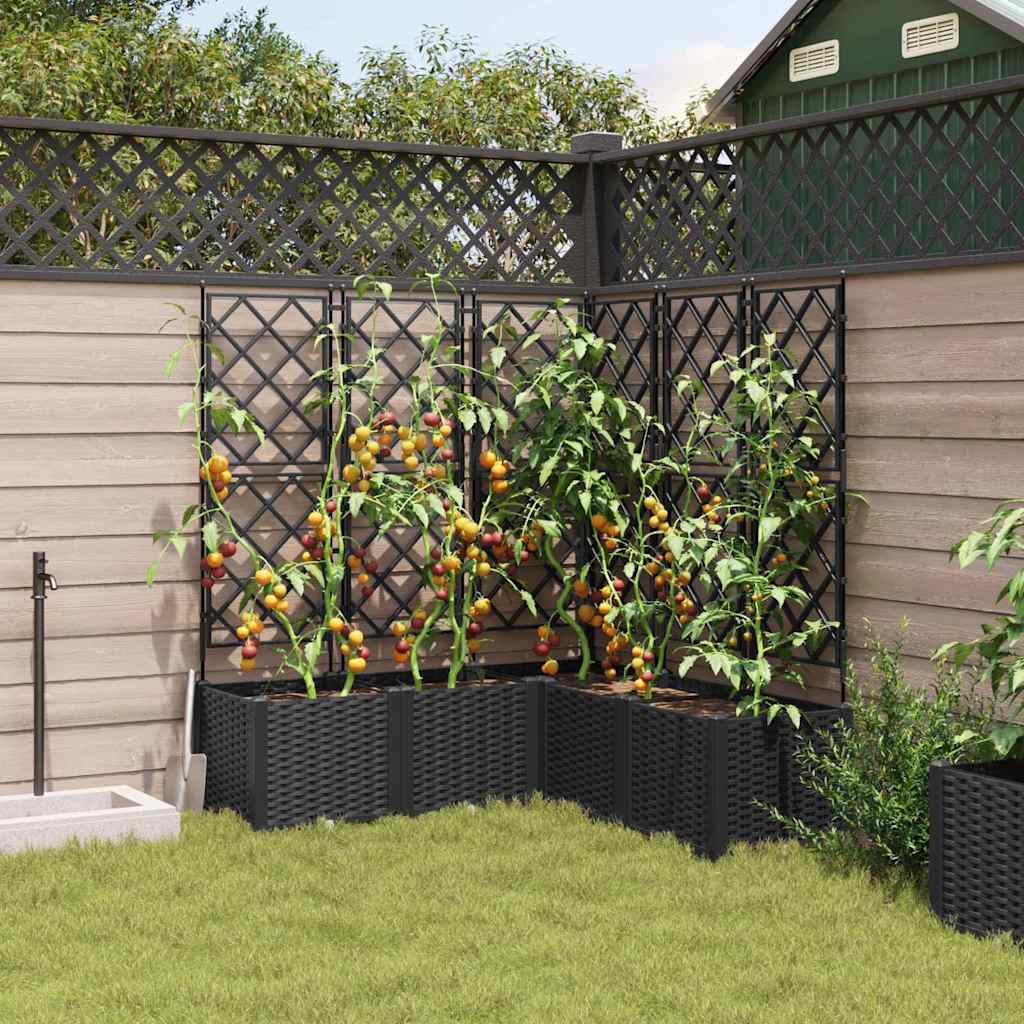 Vrtna saksija 5 pcs Crna 120 x 120 x 143 cm Plastika