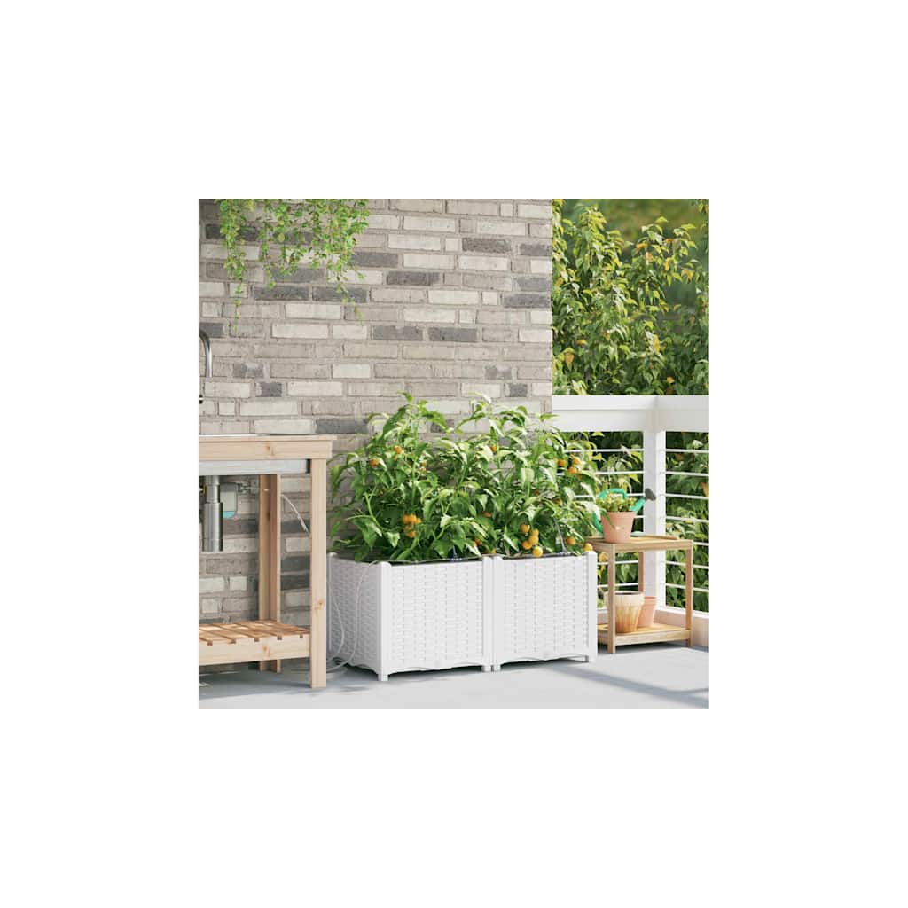 Vrtna saksija 2 pcs Bijeli 80 x 40 x 37,5 cm Plastika