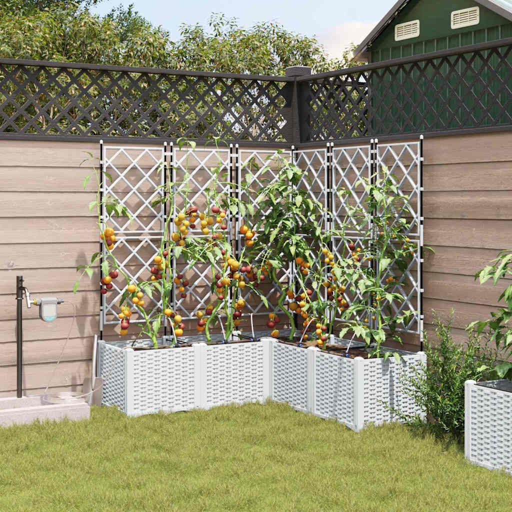 Vrtna saksija 5 pcs Bijeli 120 x 120 x 142 cm Plastika