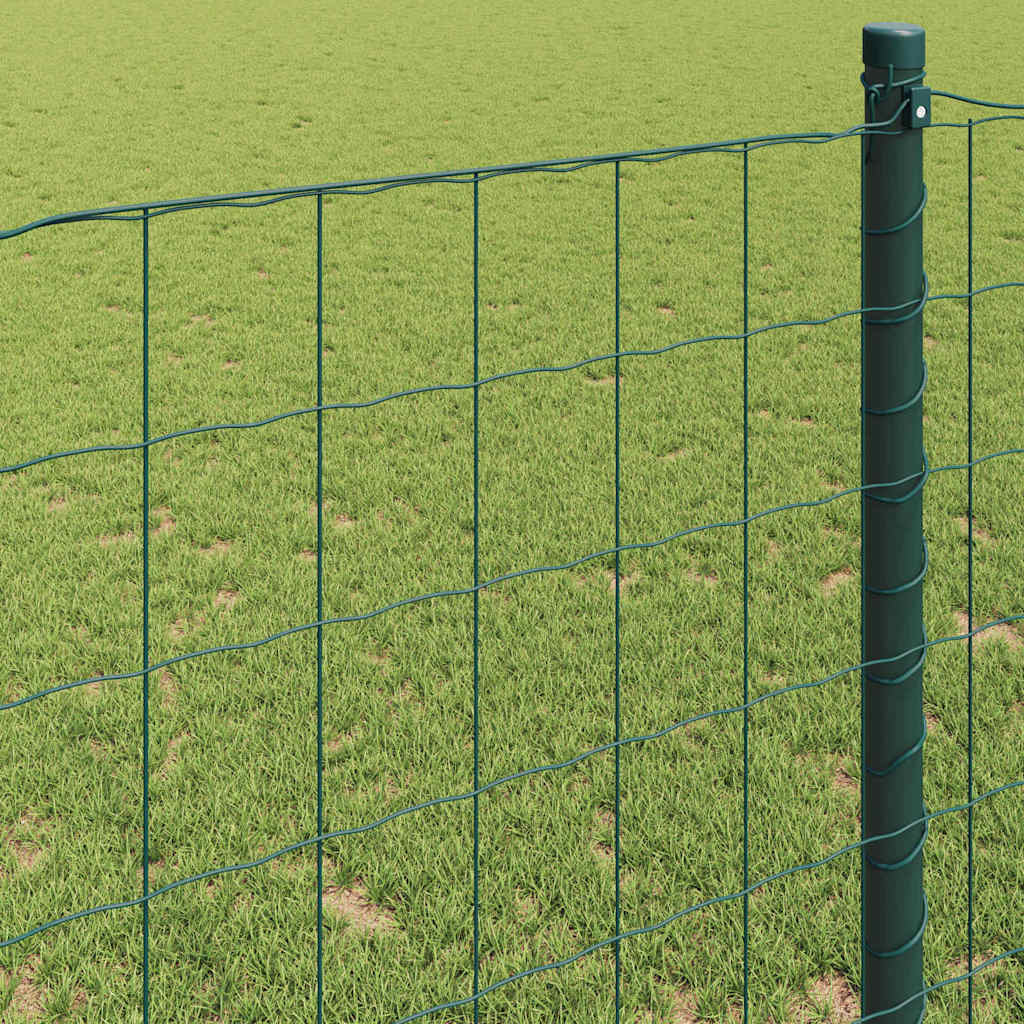 Euro ograda Zelena 1,6 x 10 m Željezo prekriveno PVC-om