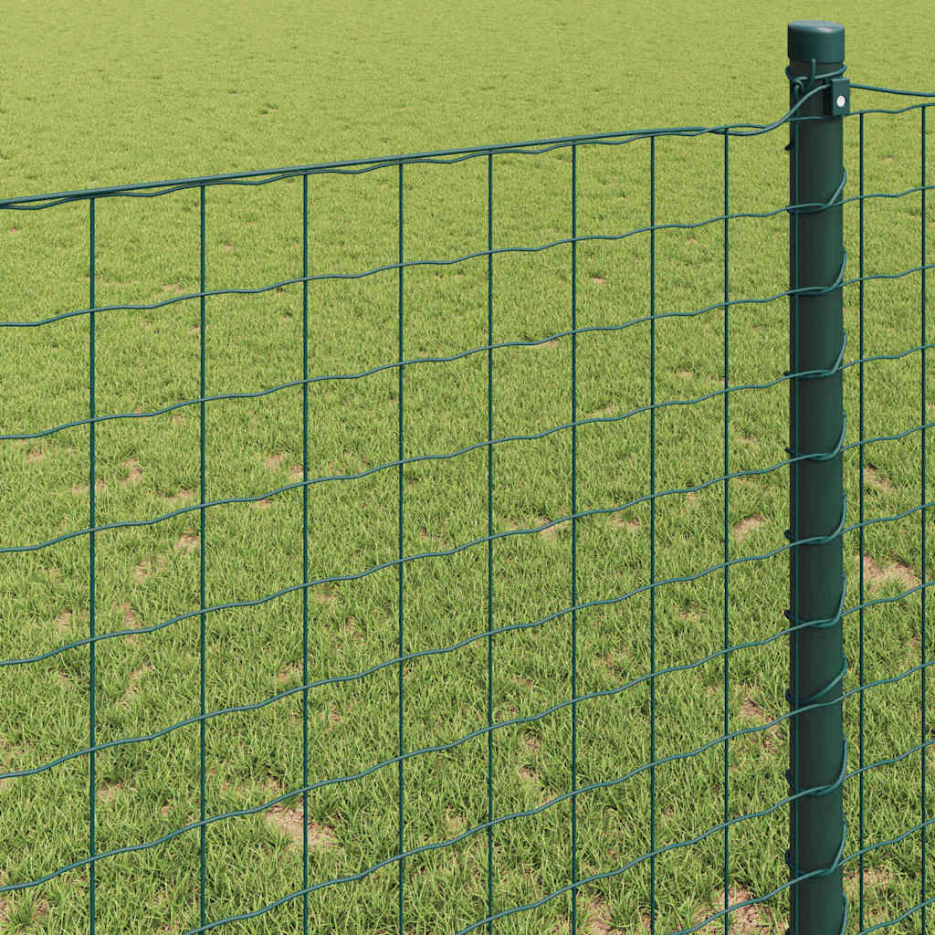 Euro ograda Zelena 0.8 x 25 m Željezo prekriveno PVC-om