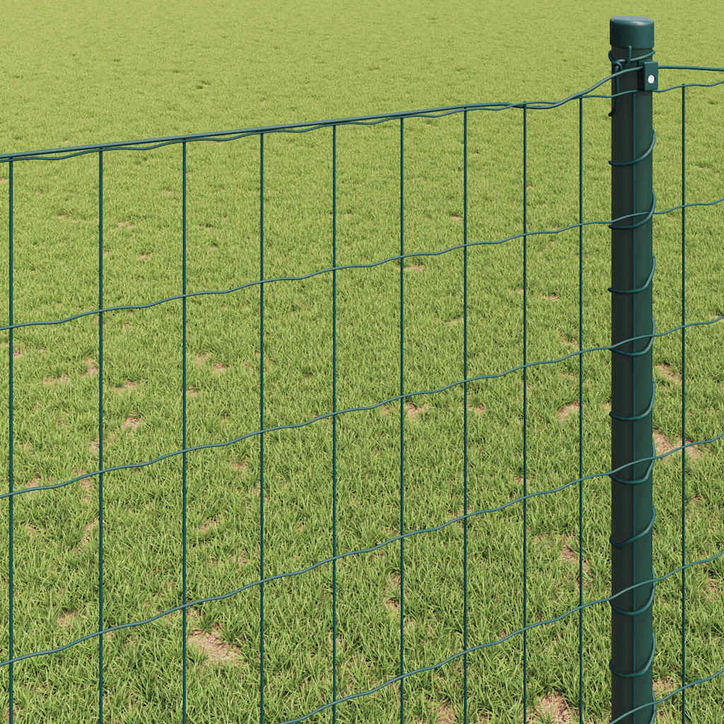 Euro ograda Zelena 0,8 x 25 m Željezo prekriveno PVC-om
