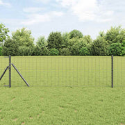 Euro ograda Siva 0.8 x 10 m Željezo prekriveno PVC-om