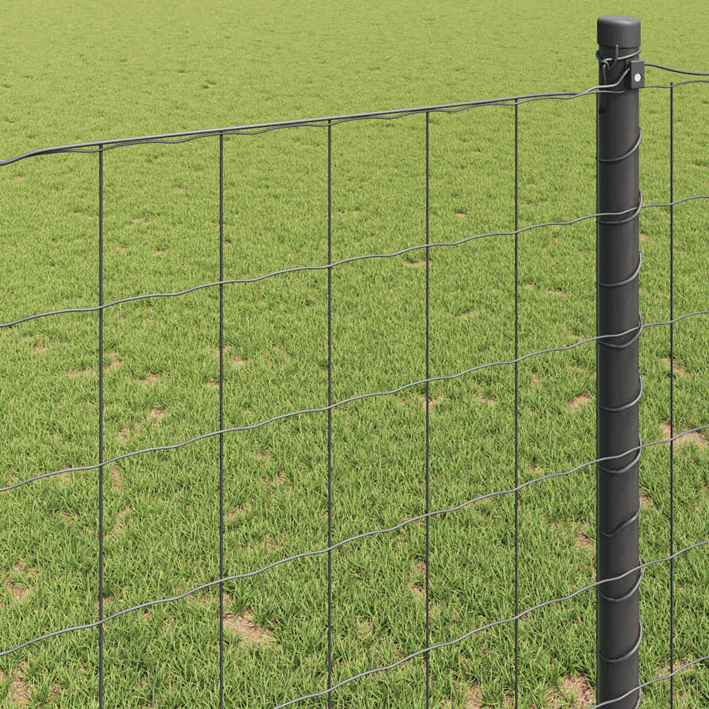 Euro ograda Siva 1,4 x 10 m Željezo prekriveno PVC-om