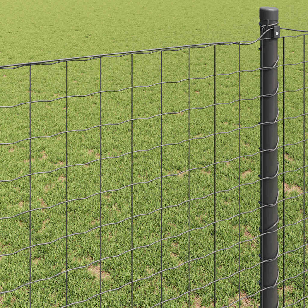 Euro ograda Siva 1,2 x 25 m Željezo prekriveno PVC-om