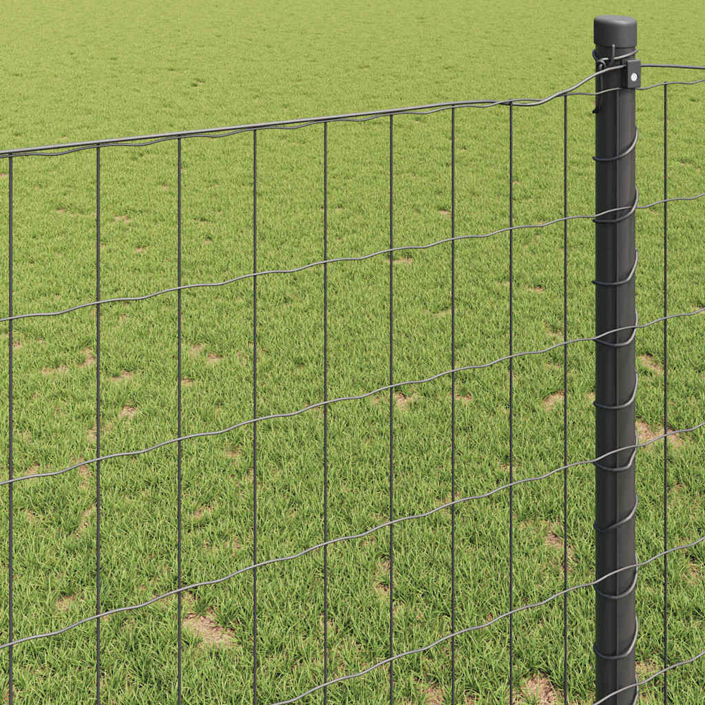 Euro ograda Siva 1 x 25 m Željezo prekriveno PVC-om