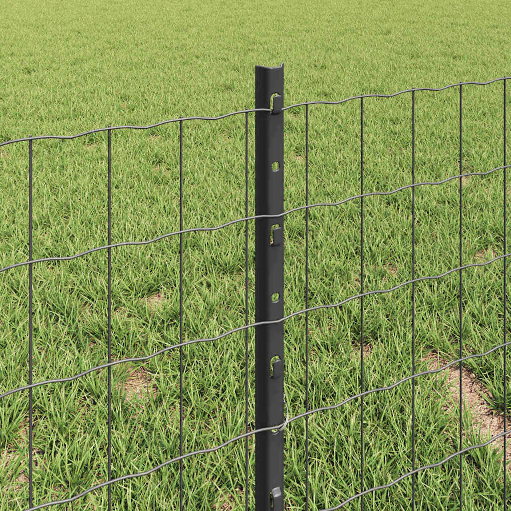 Zavarena žičana ograda 10 x 0,4 m (Š x V) Čelik premazan PVC-om