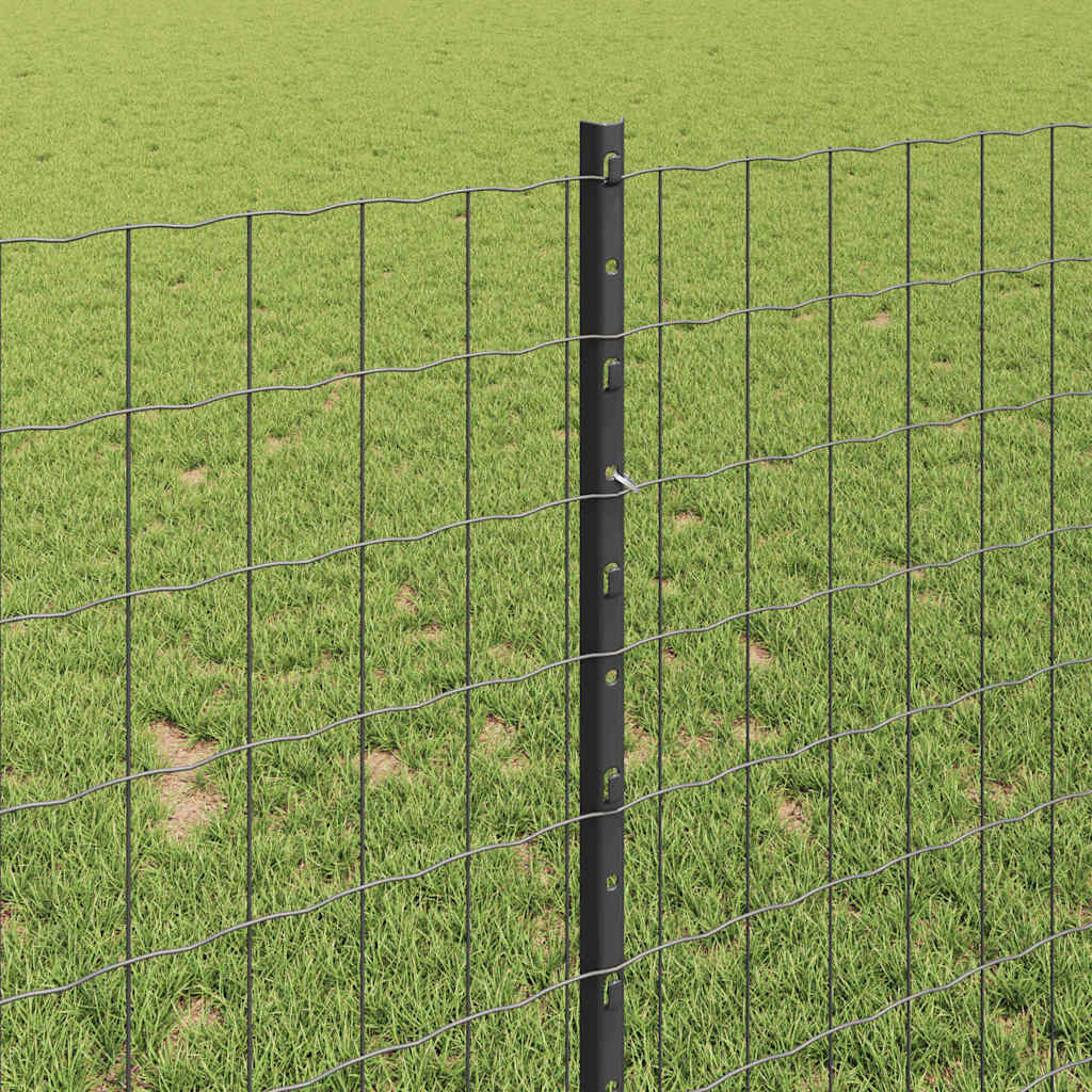 Zavarena žičana ograda 10 x 1 m (Š x V) Čelik premazan PVC-om
