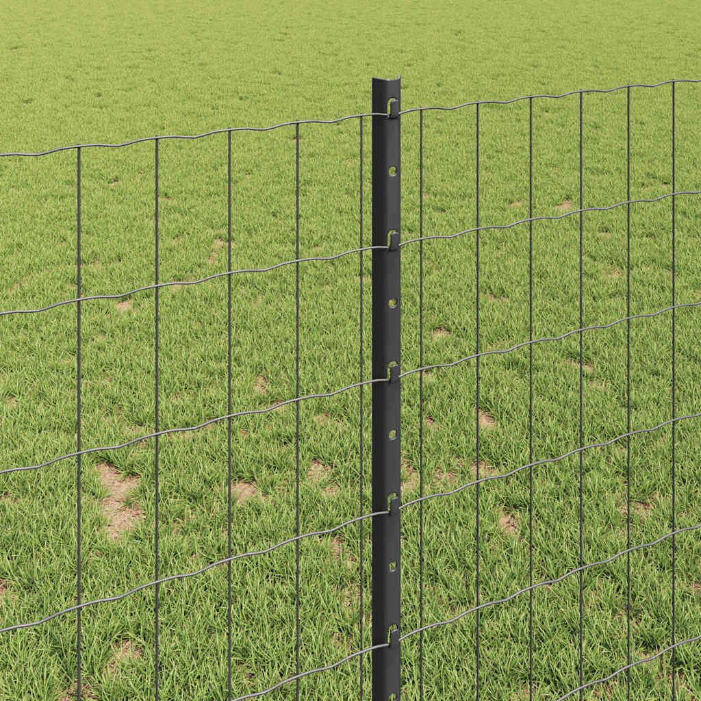Zavarena žičana ograda 10 x 1 m (Š x V) Čelik premazan PVC-om
